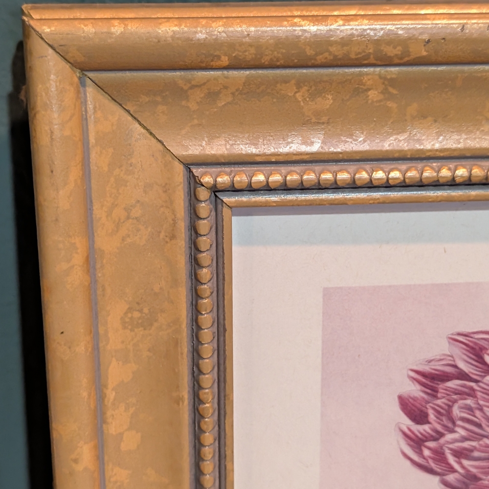 Vintage Framed Art Prints(Set)~Tulips~Johann Wilhelm Weinmann - Picture 4 of 11